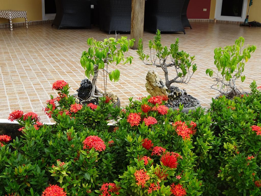 Bohol Sunside Resort Panglao Extérieur photo
